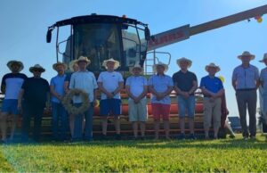 Vasaros palydos Kalviuose