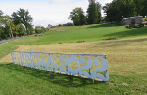 Ką sodins Pandėlio parke?