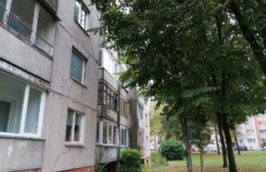 Medžiai užstoja šviesą. Pjauti ar palikti?