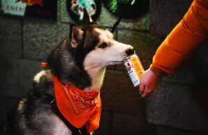 „Karieta“ – draugiška gyvūnams, klientai laukiami su augintiniais