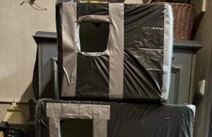 Prašoma pagalbos rajono beglobiams gyvūnams