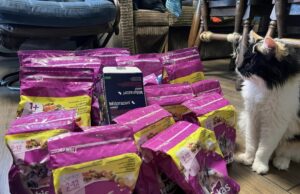 Per šventes atvertos širdys ir beglobiams gyvūnams