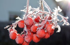 Kaip apsaugoti vaikus?