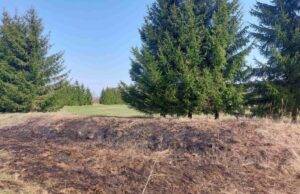 Dar neatpratome deginti žolę