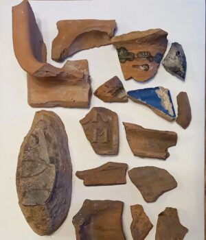 379645167_331231972723439_2306964355143433513_n