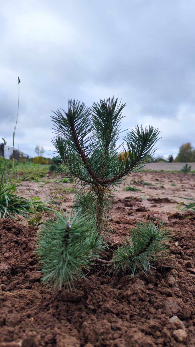 394217532_1378476029770719_5679717911708147219_n