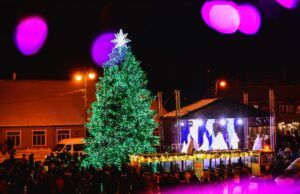 Artėjančios Šv. Kalėdos: ieškoma pagrindinės miesto eglės