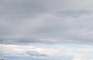 Jei pritrūksta knygų Kazliškyje, Zita Dilbienė jų atsiveža iš Rokiškio