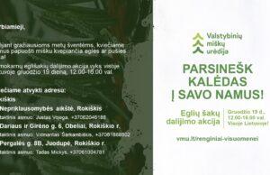 Miškininkai nemokamai dalins eglės šakas