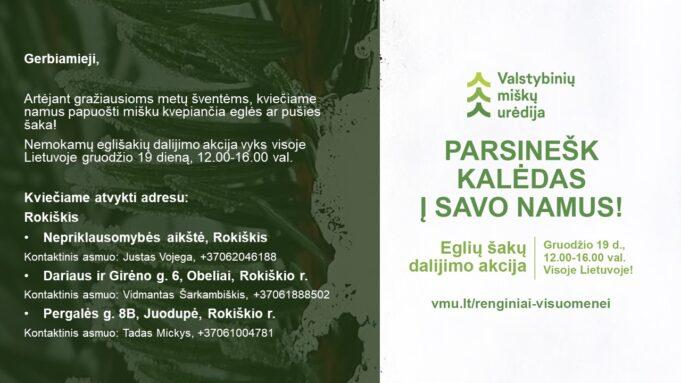 pasinesk kaledas