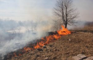 Žolės deginimo prevencija: ką svarbu padaryti šiandien?