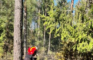 Miškininkai imasi veiksmų pavasariniams gaisrams užkardyti
