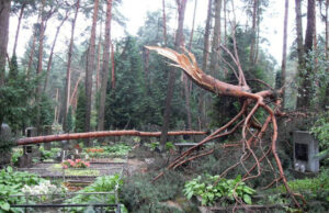 Sinoptikai įspėja: stipriausios audros užklups sostinę, Uteną ir Alytų