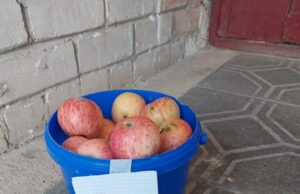 Ne visi turi sodą, užtat turi gerų kaimynų…