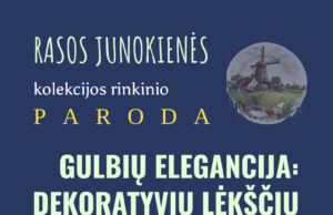 Į biblioteką – elegancijos