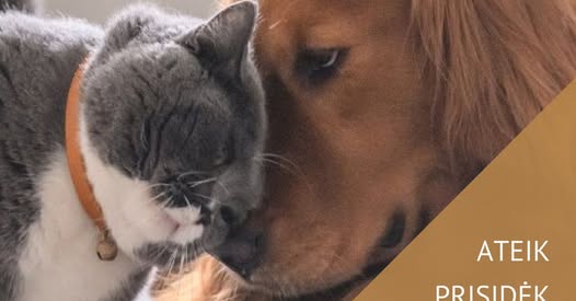 480171506_584347931252658_6955389522075979407_n