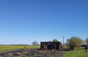 Už žolės deginimą gresia ne tik baudos, bet vertinama aplinkai padaryta žala