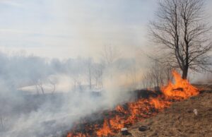 Išdegė pusė hektaro durpingos miško paklotės