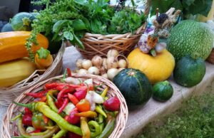 Trumpos tiekimo grandinės – nauda vartotojui ir ūkininkui