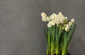 Velykoms – konditerijos meistrės keksas