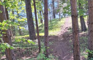 Dviračiais ant kapo. Ar jaunimui leidžiama viskas?