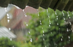 Ūkininkai orais skundžiasi, bet tikisi geriausio