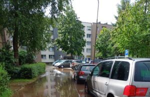 Liūtis skandino Rokiškį