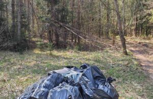 Stovyklautojams laikas ugdyti naujus įpročius