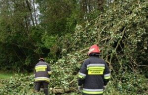 Ugniagesiai gelbėtojai atlaisvino kelią Čedasuose