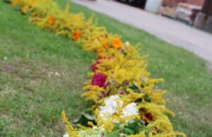 Nesėdėk namie – 12. Apsižolinti ar bent pasižolinėti per Žolinę būtina