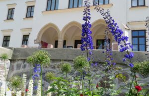 Rokiškio krašto muziejus kviečia