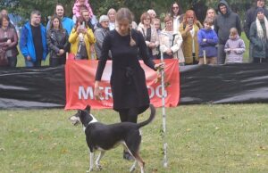 Šokių su šunimis varžybose buvo visko