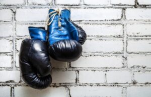 Bokso žvaigždės turi išskirtinį prašymą Rokiškiui