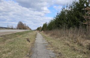 Bus tvarkoma apie 2 km pėsčiųjų tako Bajorų link