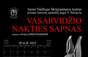 Spektaklis VASARVIDŽIO NAKTIES SAPNAS | Theater Cluster