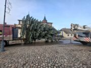 Į aikštę atvežta Kalėdų eglė