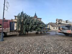 Į aikštę atvežta Kalėdų eglė
