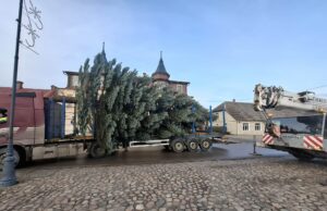 Į aikštę atvežta Kalėdų eglė