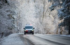 Nevieriuose vertėsi vilkikas