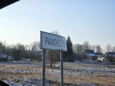 Pandėlyje neblaivus vairuotojas vertė kelio ženklus ir taranavo „Volvo“