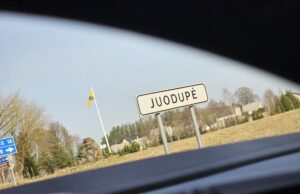 Neblaivus BMW vairuotojas rėžėsi į medį