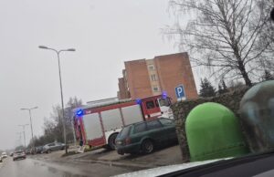 Vilties gatvėje degė šiukšlių konteineris