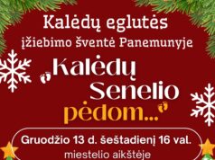 KALĖDŲ EGLUTĖS ĮŽIEBIMAS Panemunyje