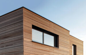 Kiek kainuoja įrengti fasadą su dailylentėmis? Profesionalus kainos ir kokybės palyginimas