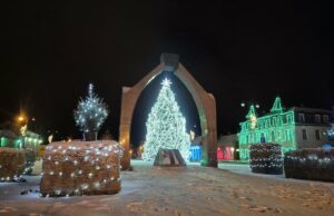 Mūsų rajono eglutės