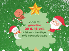 KALĖDŲ EGLUTĖS ĮŽIEBIMAS Aleksandravėlėje