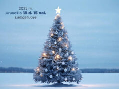 KALĖDŲ EGLUTĖS ĮŽIEBIMAS Laibgaliuose