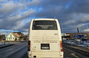 Kokios spalvos bus Rokiškio elektra varomi autobusai?