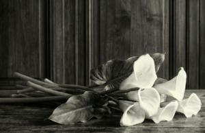 Užuojauta dėl Valerijos Vilutienės mirties