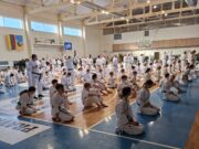 Iškovotas antras žalias diržas